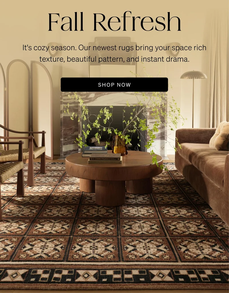 Shop Fall Rugs