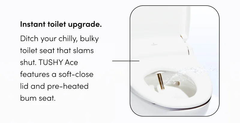 INSTANT TOILET UPGRADE
