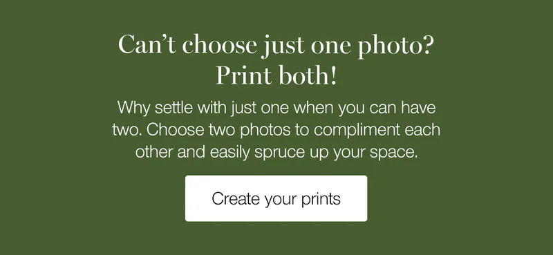 Can't choose just one photo? Print both! Why settle with just one when you can have two. Choose two photos to compliment each other and easily spruce up your space.