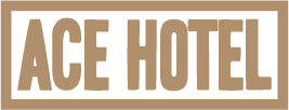 Ace Footer Logo