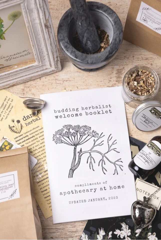 Herbal Apprentice Box