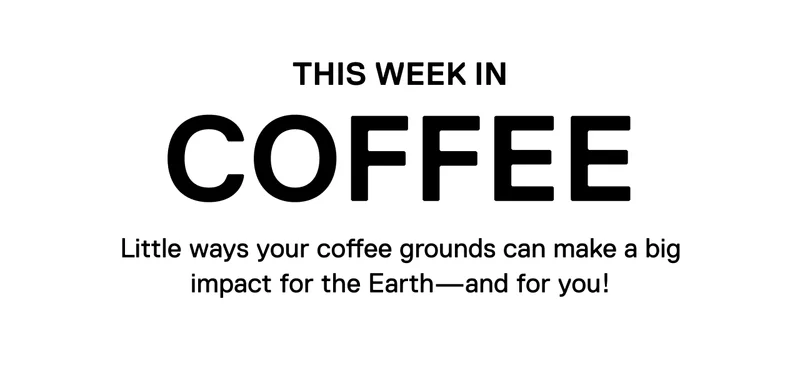 This week in Coffee. Little ways your coffee grounds can make a big impact for the Earth - and for you!