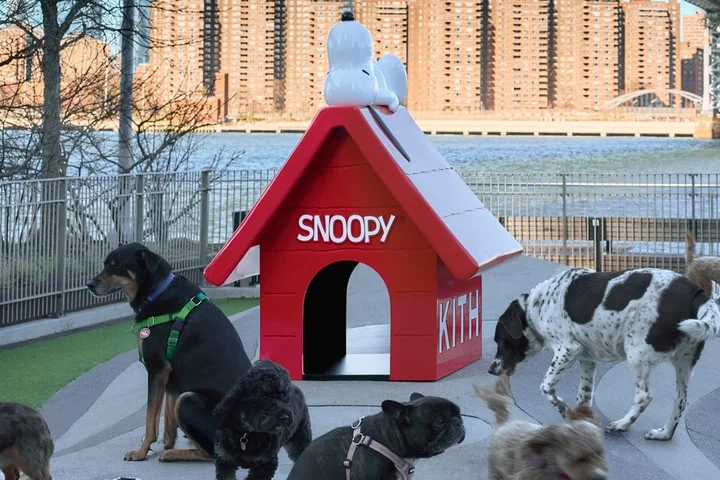 🐶 Kith Brings Snoopy's Doghouse to Domino Park