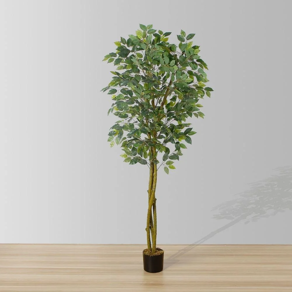 Image of Benja Artificial Ficus Tree Potted Plant 6’