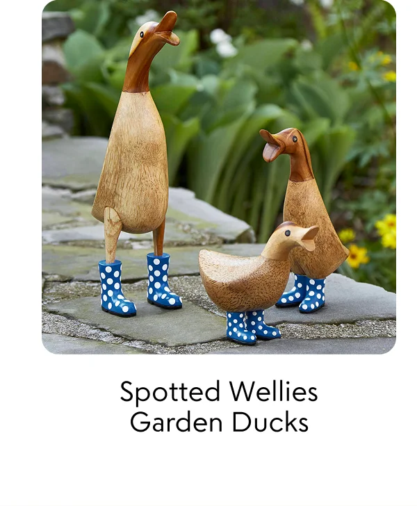 spotted-wellies-garden-ducks