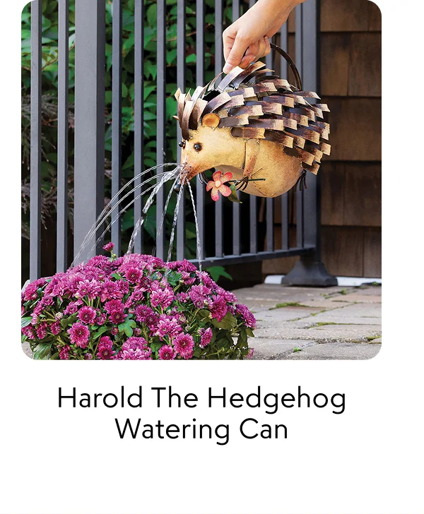 harold-the-hedgehog-watering-can