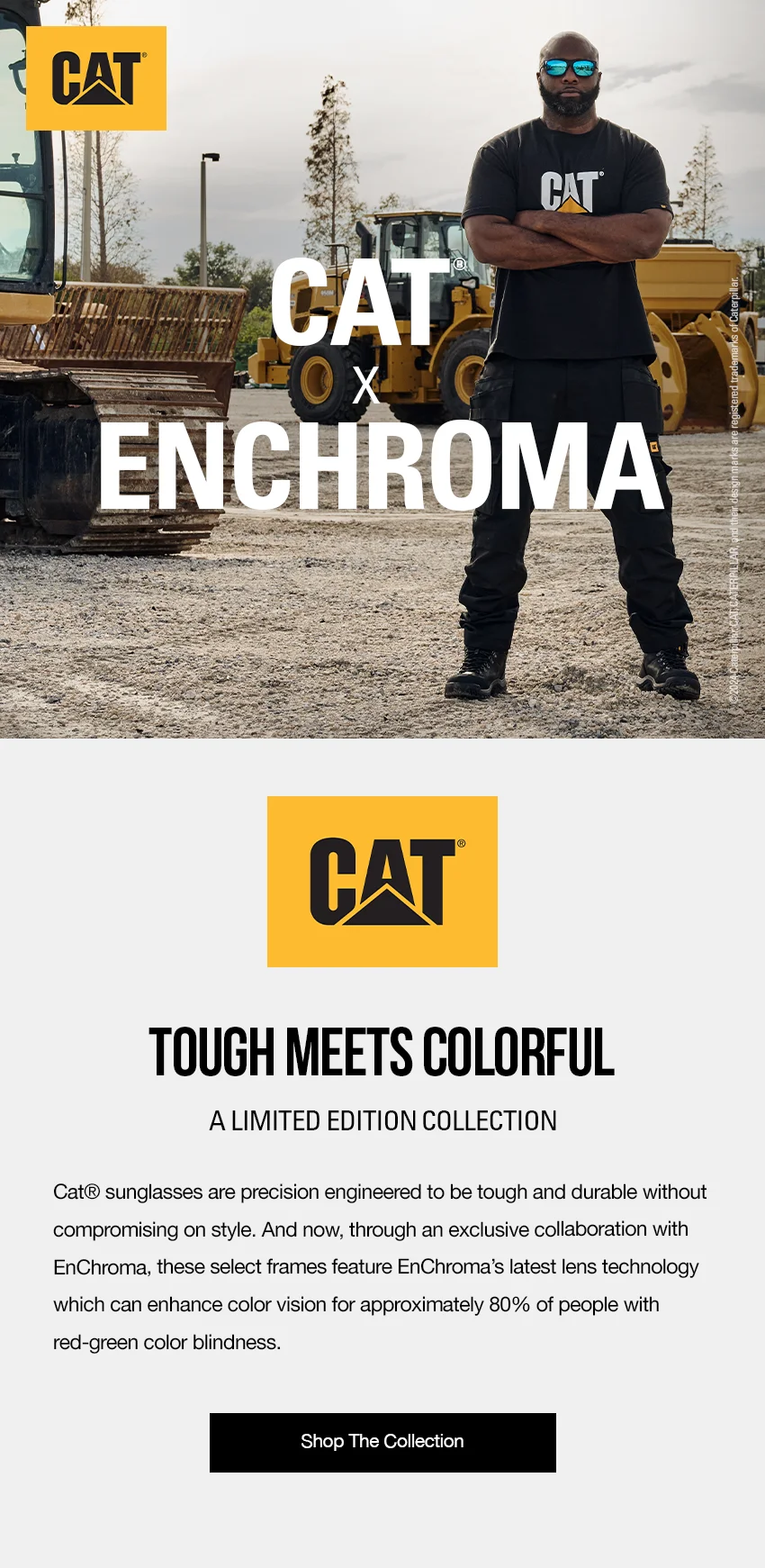 Shop The Collection
