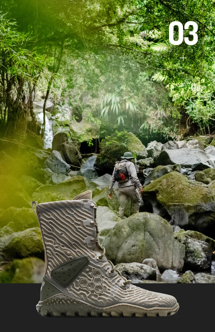 EXPLORE THE JUNGLE BIOME