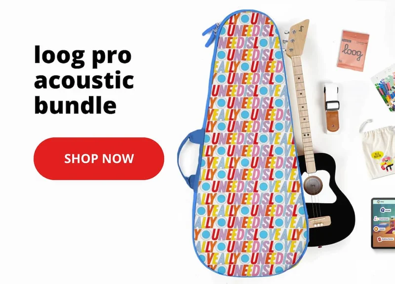 pro acoustic bundle - SHOP NOW