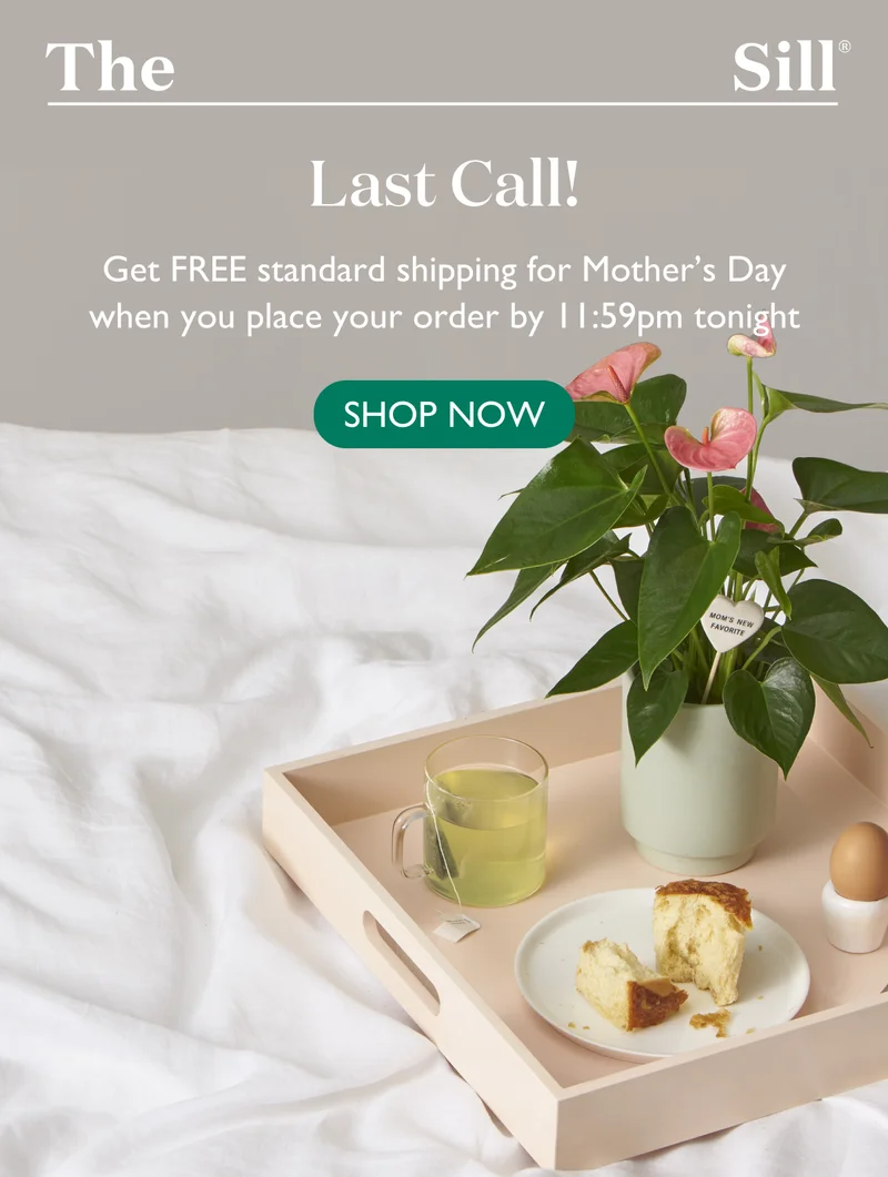 Order before 11:59pm tonight for guaranteed FREE delivery in time for Mother's Day.