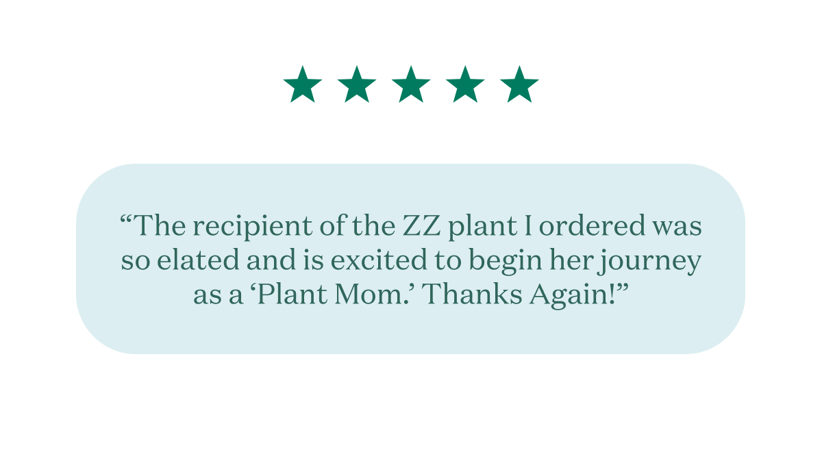 Customer Testimonials