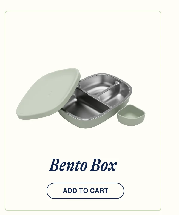 Bento Box