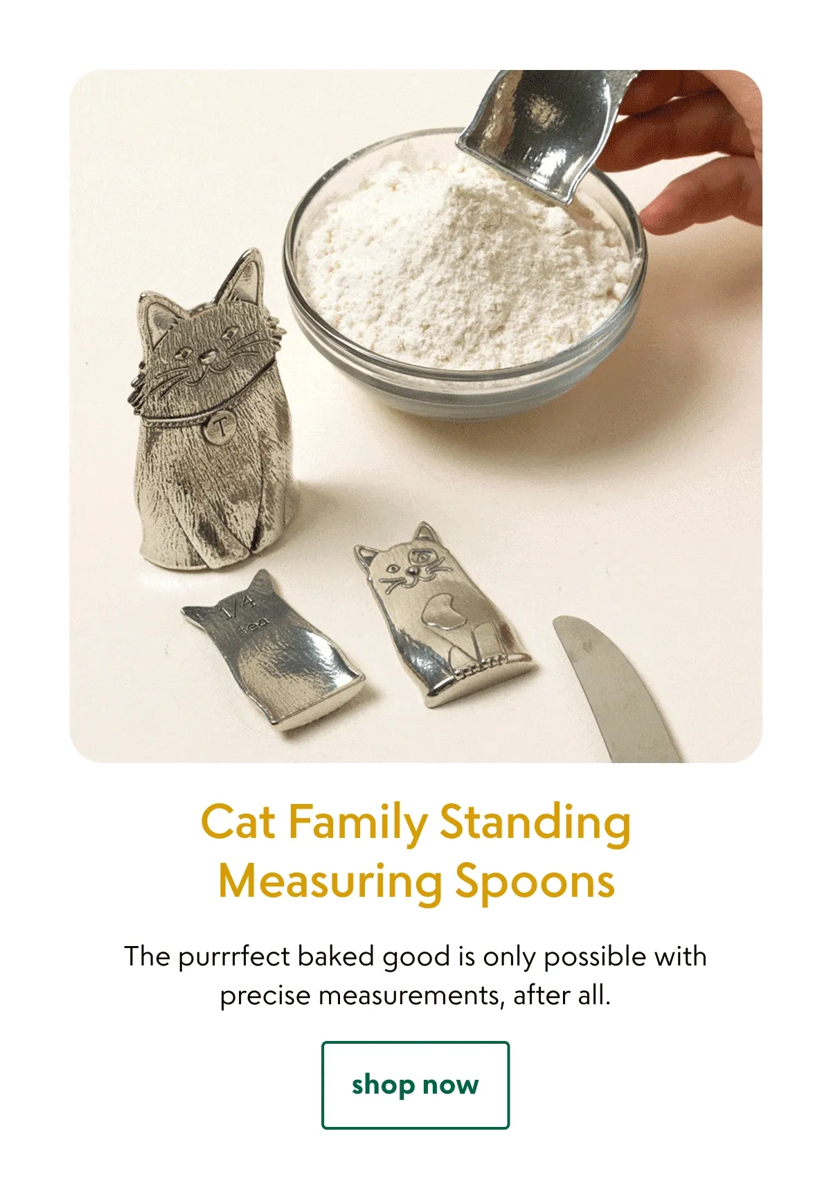 cat-family-standing-measuring-spoons