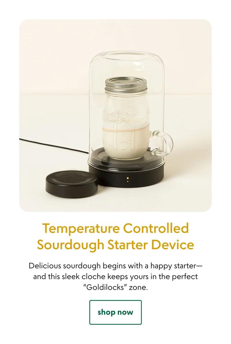 temperature-controlled-sourdough-starter-device