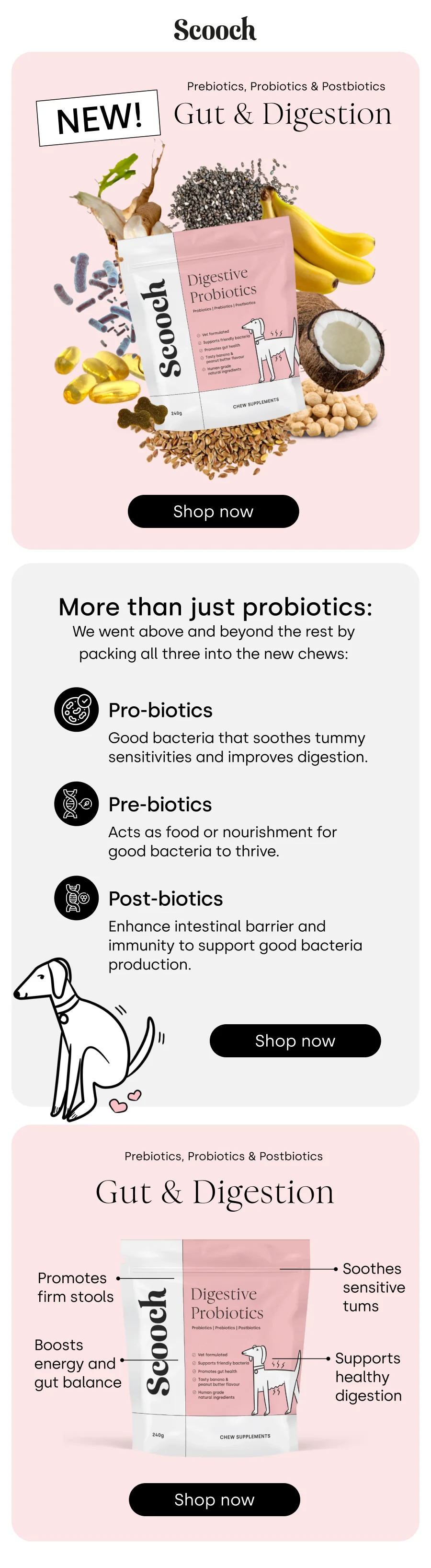 A NEW gut health hero has arrived!