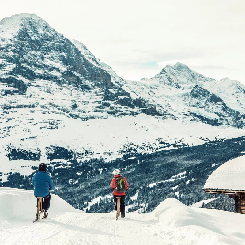 The Swiss Alps