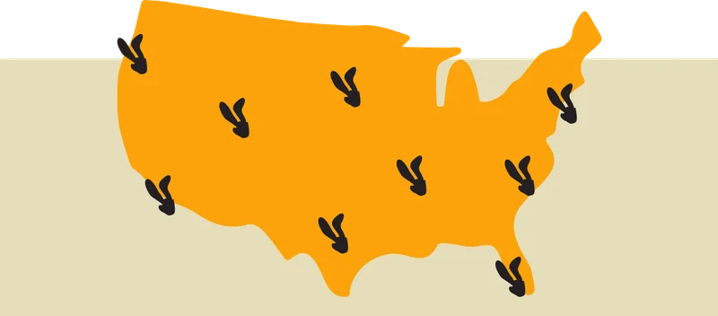 Rebel Rabbit Store Locator Map