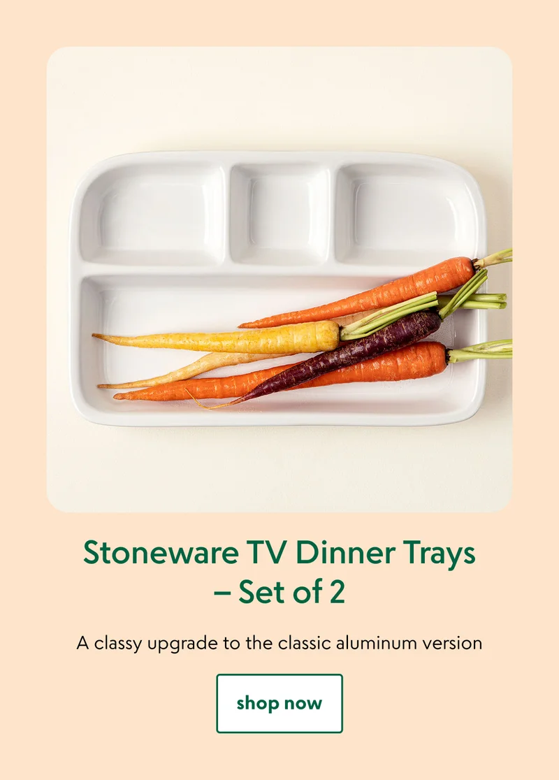 stoneware-tv-dinner-trays-set-of-2