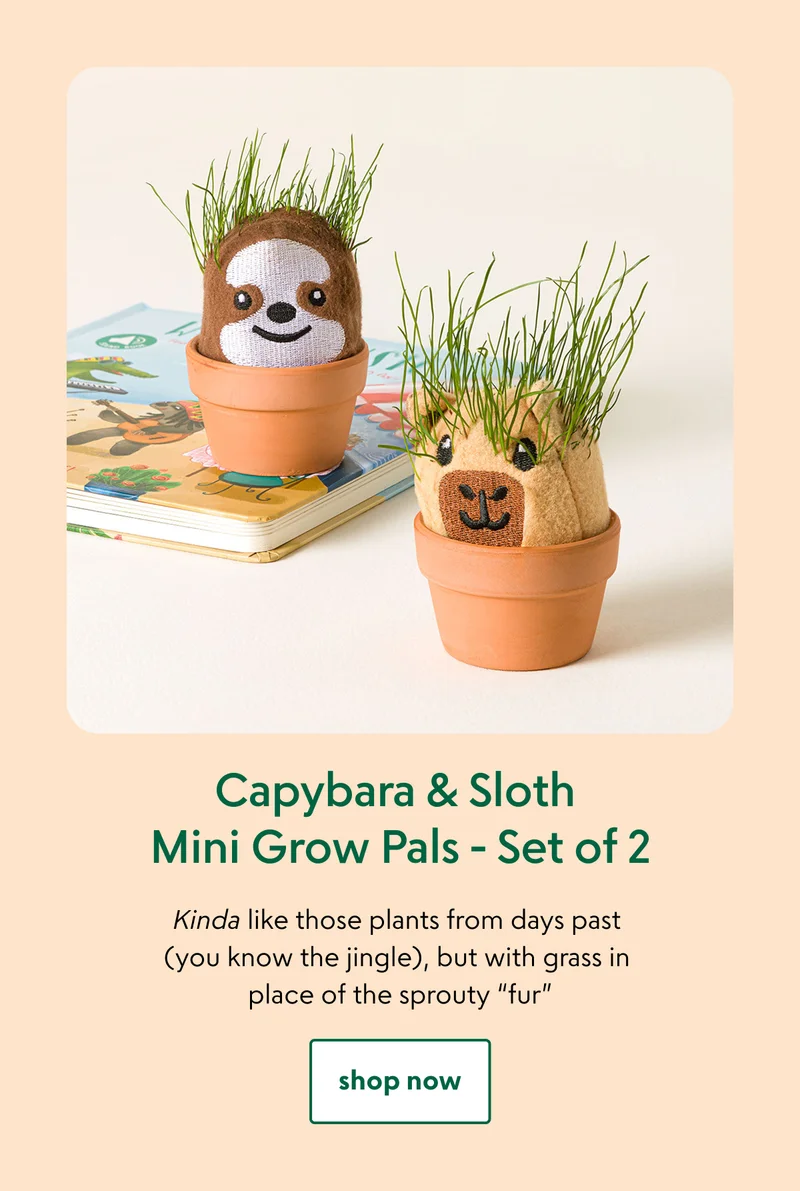 capybara-sloth-mini-grow-pals-set-of-2