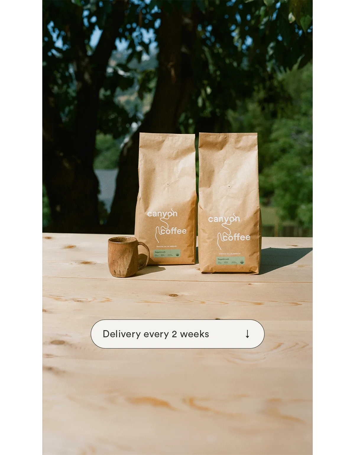 coffee subscription
