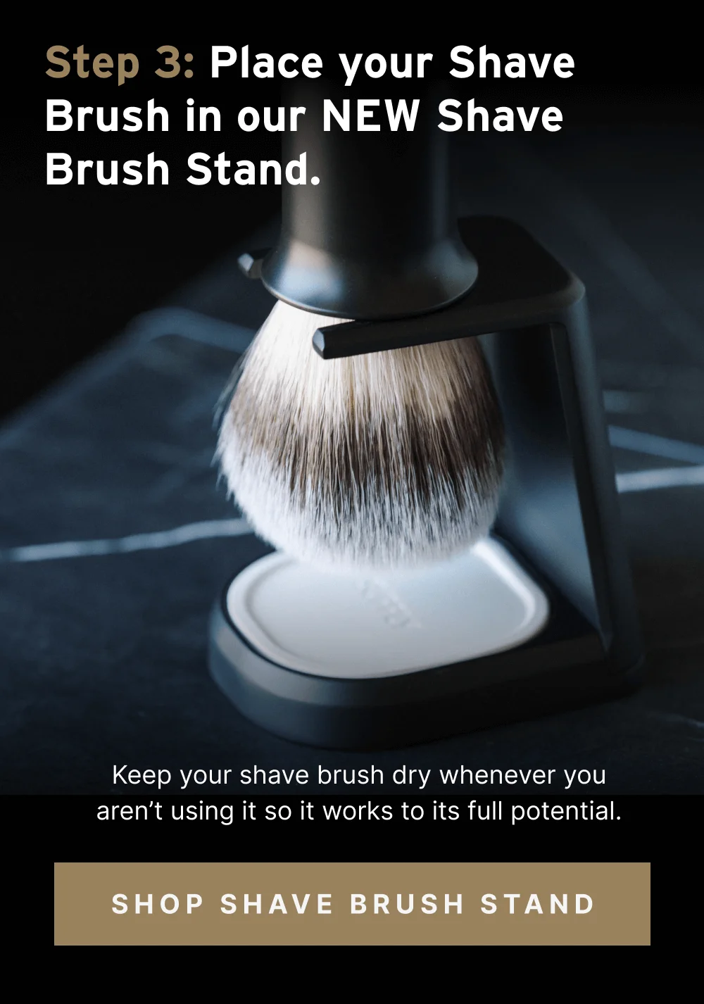 [ Shop Shave Brush Stand ]