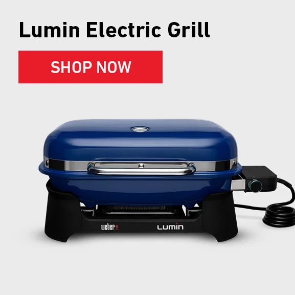 image of the Lumin Electric Grill