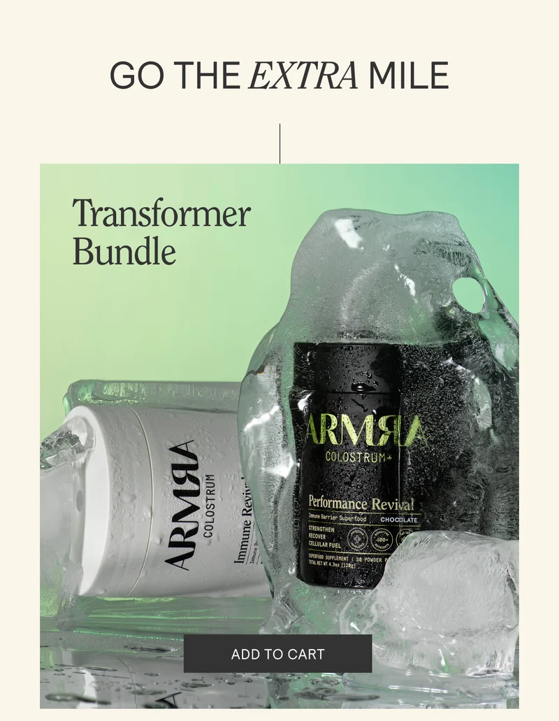 TRANSFORMER BUNDLE