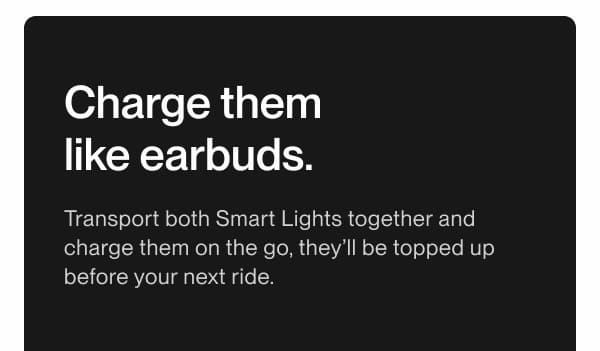 Text section describing that both Smart Lights can be charged together in the charging case.