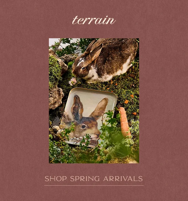 terrain spring arrivals