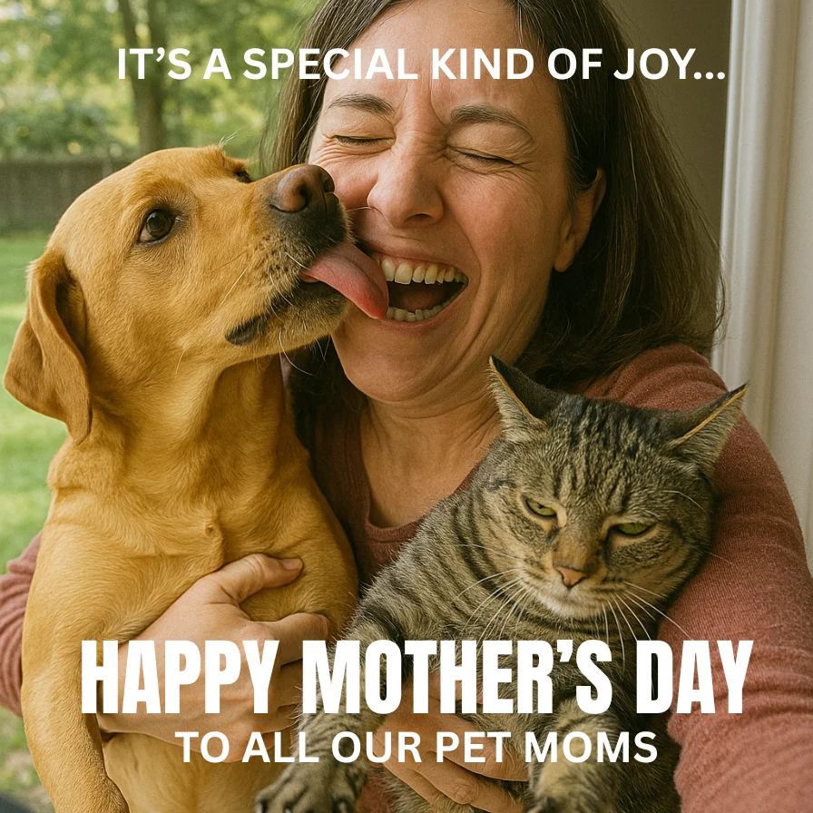 Pet Moms Day
