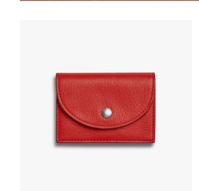 Birdy Accordion Card case