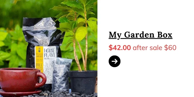 My Garden Box