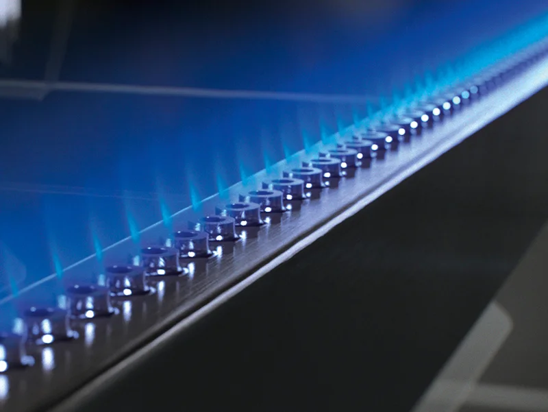 $100 Off Genesis® Gas Grills​