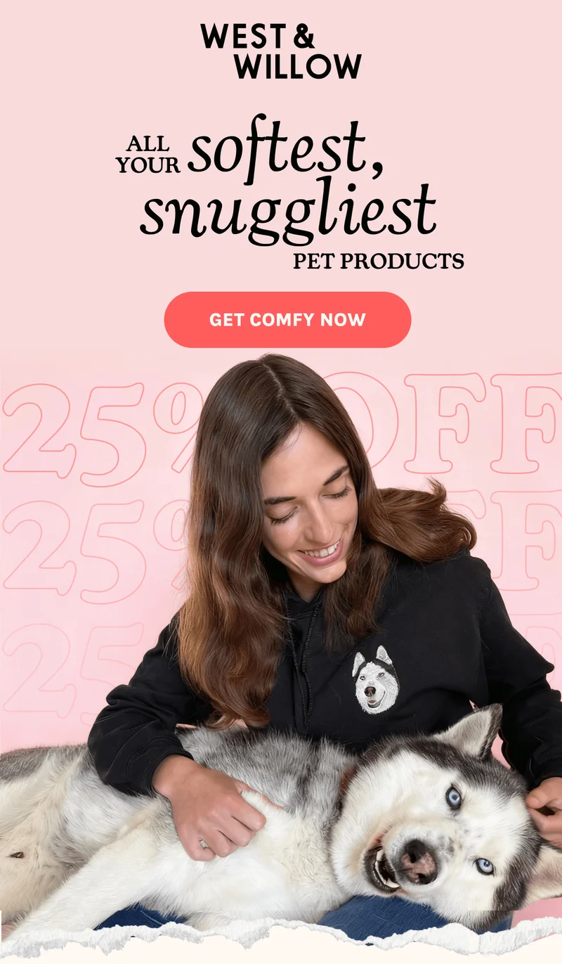 Get Comfy Now