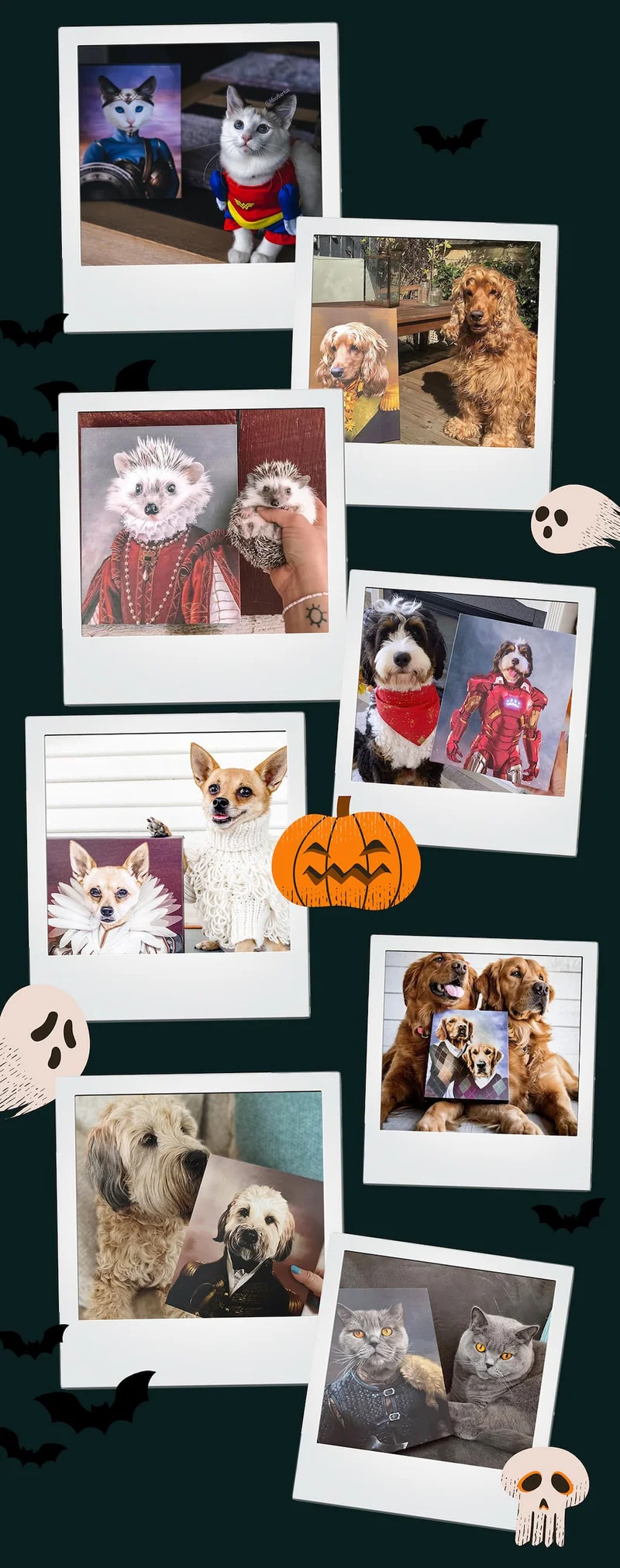 Collage of pets standing next to their 'pet in costume' portraits in honor of Halloween
