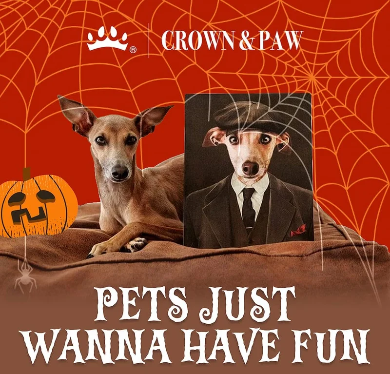 Pets just wanna have fun