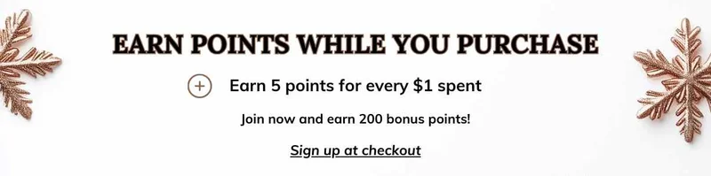 Shop The Black Friday Sale