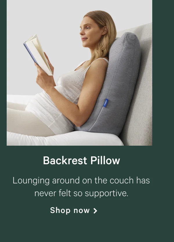 Backrest Pillow >> Lounging around on the couch has never felt so supportive. >> Shop now >>