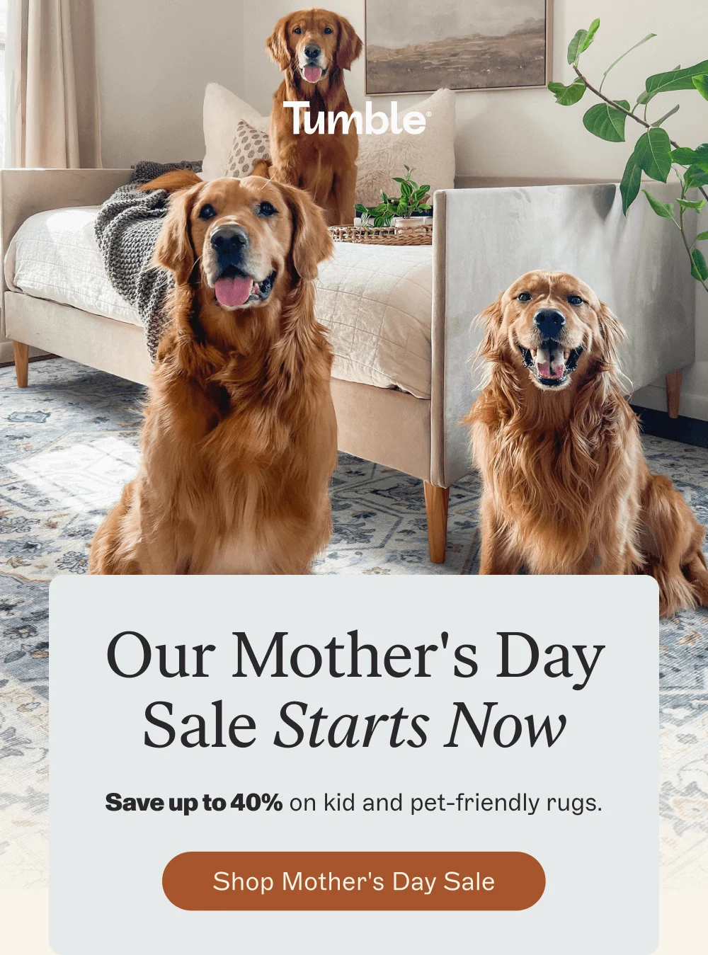Our Mother's Day Sale Starts Now [ Shop Mother's Day Sale ]