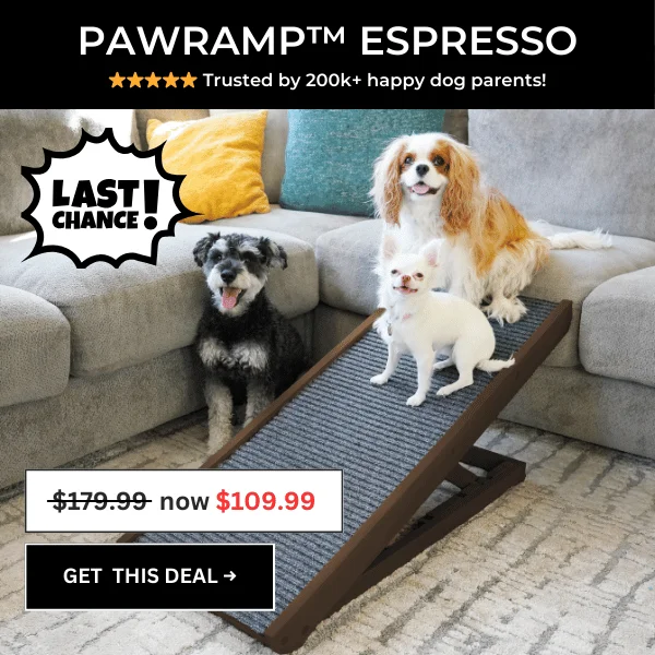 PawRamp Espresso