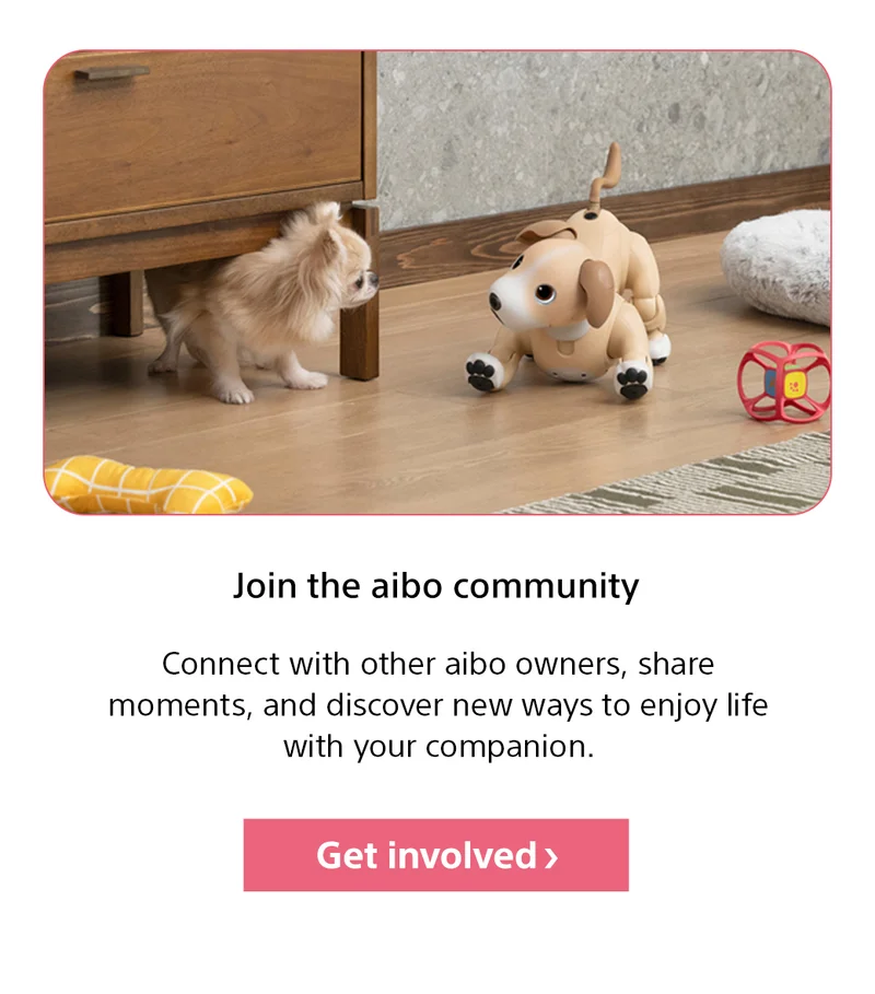 Join the aibo community | Connect with other aibo owners, share moments, and discover new ways to enjoy life with your companion. Get involved