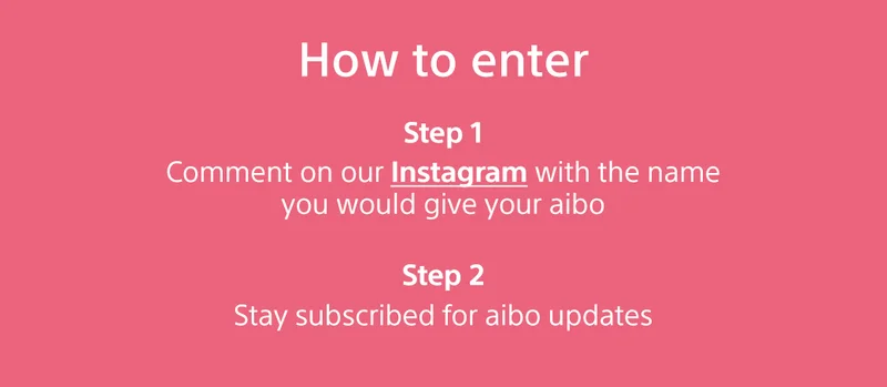How to enter | Step 1: Comment on our Instagram with the name you would give your aibo | Step 2: Stay subscribed for aibo updates