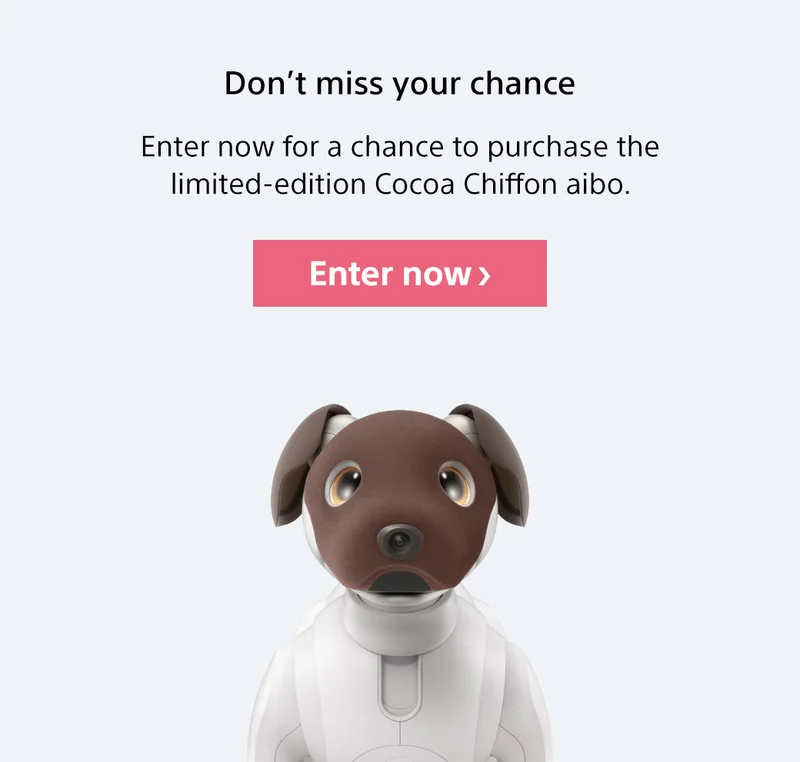 Don’t miss your chance | Enter now for a chance to purchase the limited-edition Cocoa Chiffon aibo. Enter now