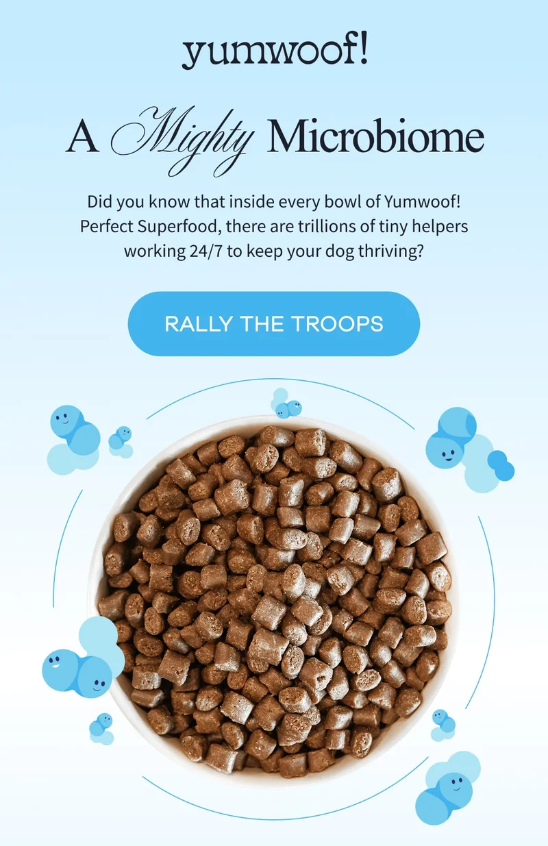 Yumwoof! | A  Mighty Microbiome | Did you know that inside every bowl of Yumwoof! Perfect Superfood, there are trillions of tiny helpers working 24/7 to keep your dog thriving? | RALLY THE TROOPS