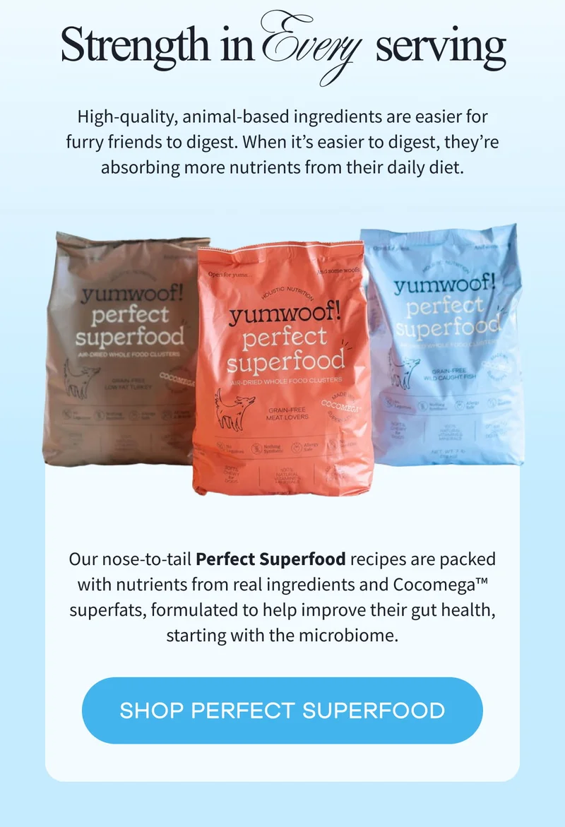 Strength in Every Serving | High-quality, animal-based ingredients are easier for furry friends to digest. When it’s easier to digest, they’re absorbing more nutrients from their daily diet. | Our nose-to-tail Perfect Superfood recipes are packed with nutrients from animal-based ingredients and Cocomega™ superfats, formulated to help improve their gut health, starting with the microbiome. | SHOP PERFECT SUPERFOOD