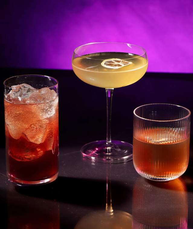 Shaker & Spoon Cocktail Kit