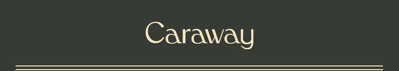 Caraway Header Logo Navy