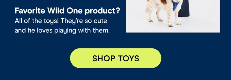Favorite Wild One product? All of the toys! They're so cute and he loves playing with them.