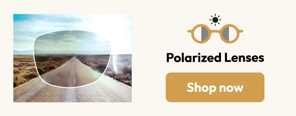 polarized lenses