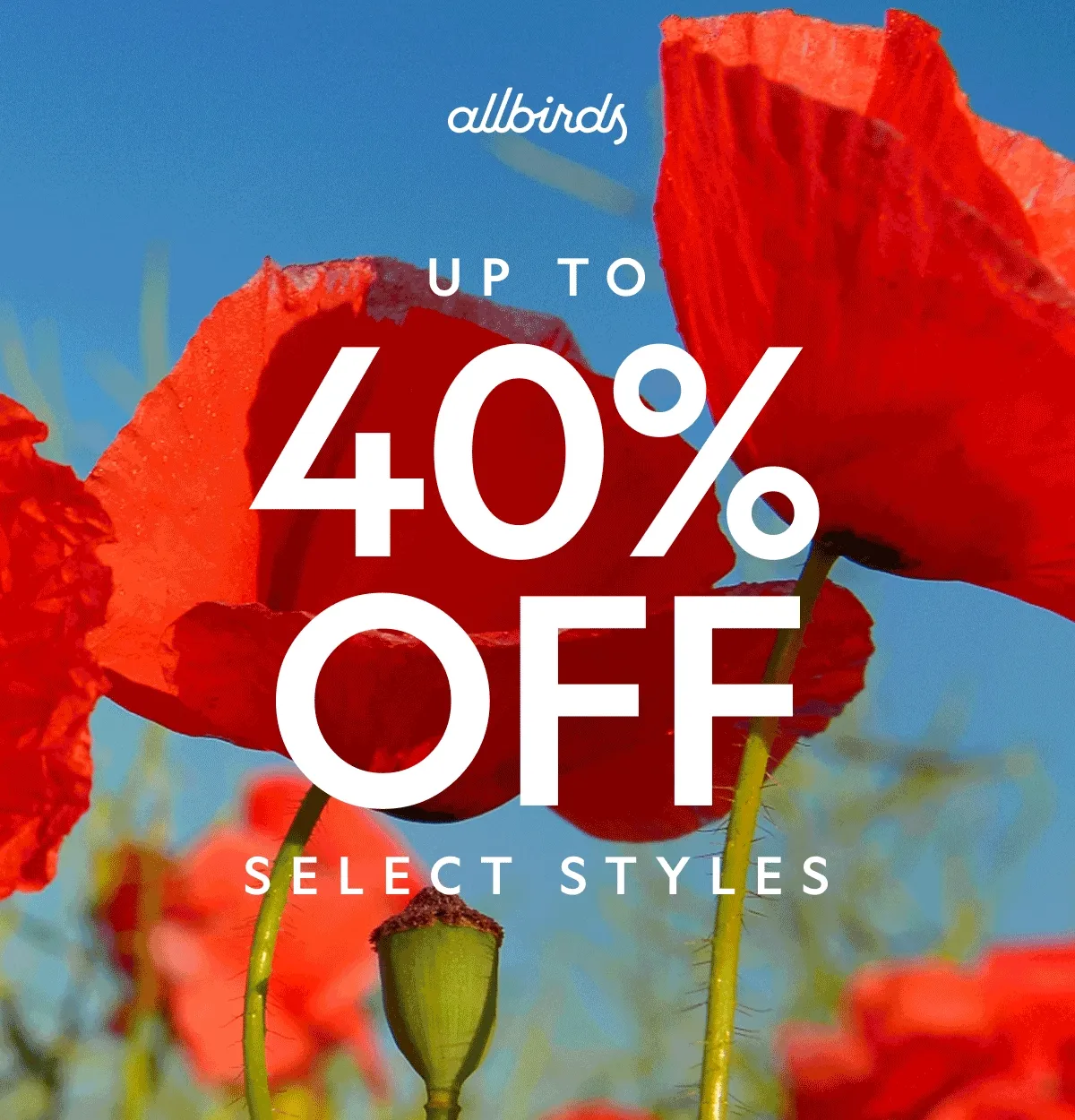 Memorial Day Promo